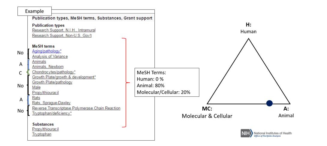 mceclip1.png